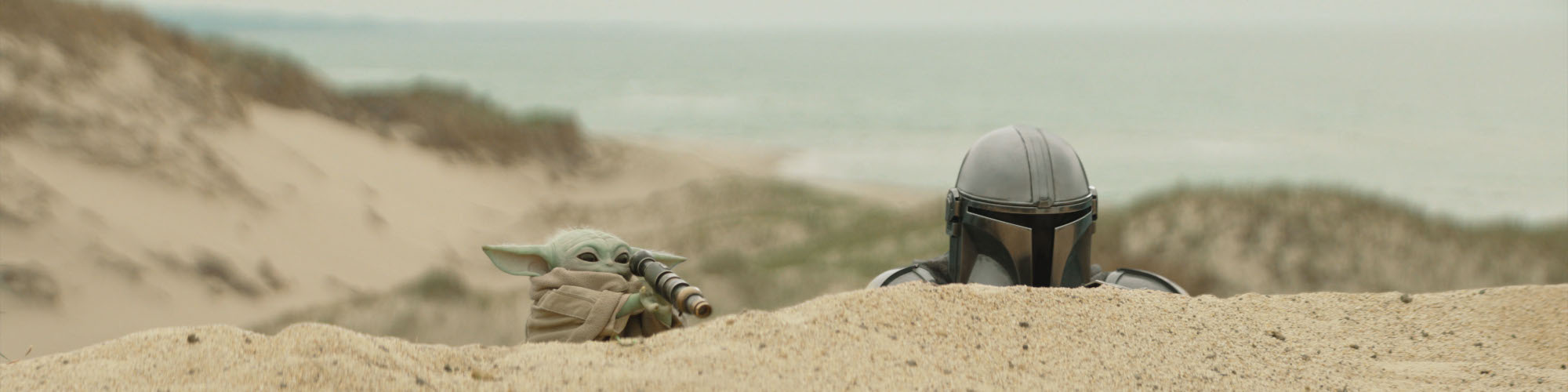STAR WARS: THE MANDALORIAN AND GROGU