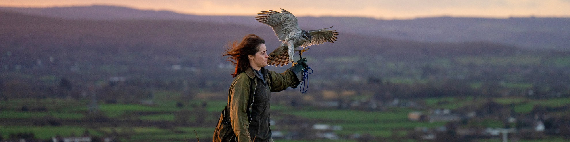 H IS FOR HAWK